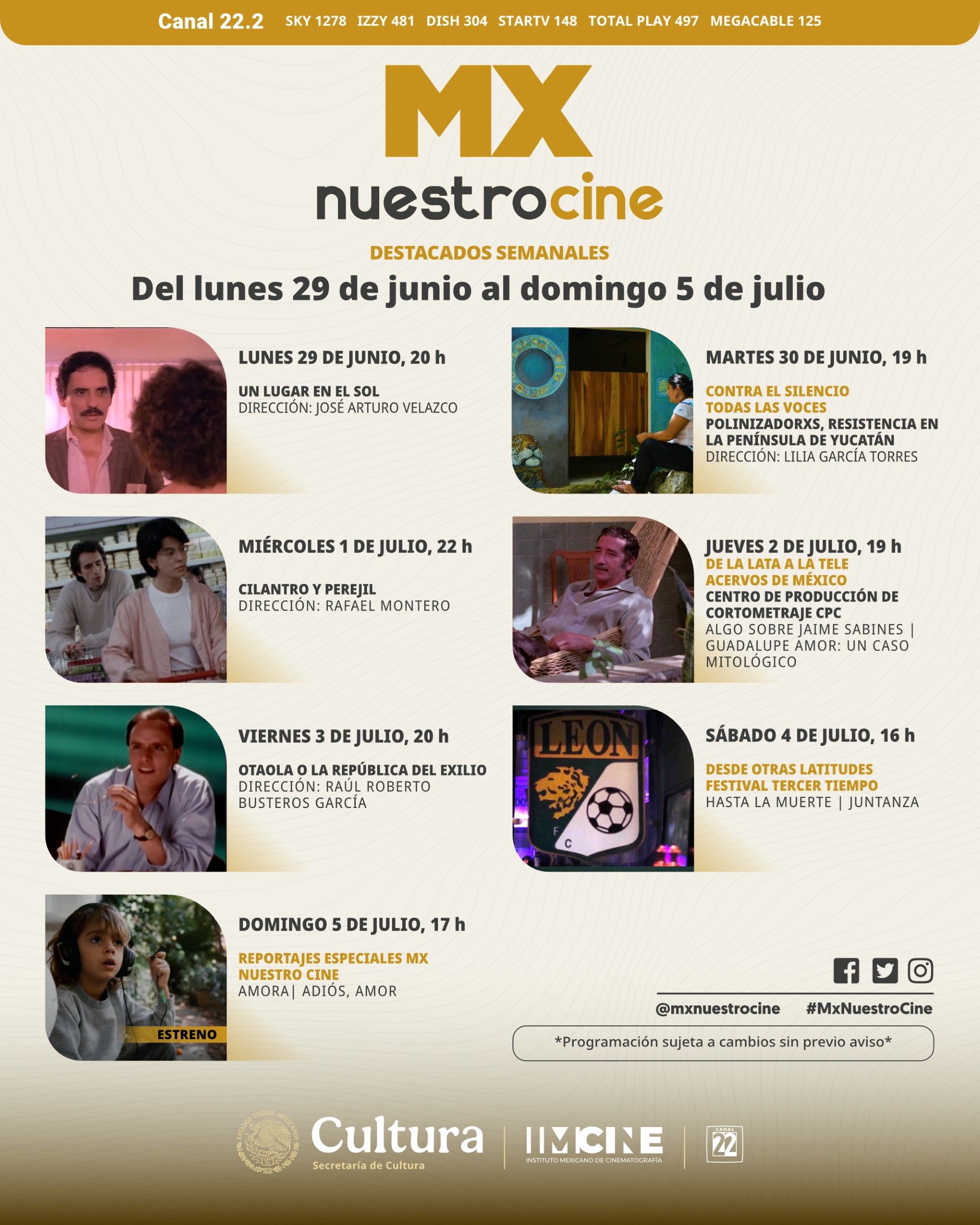 Imagen ampliada