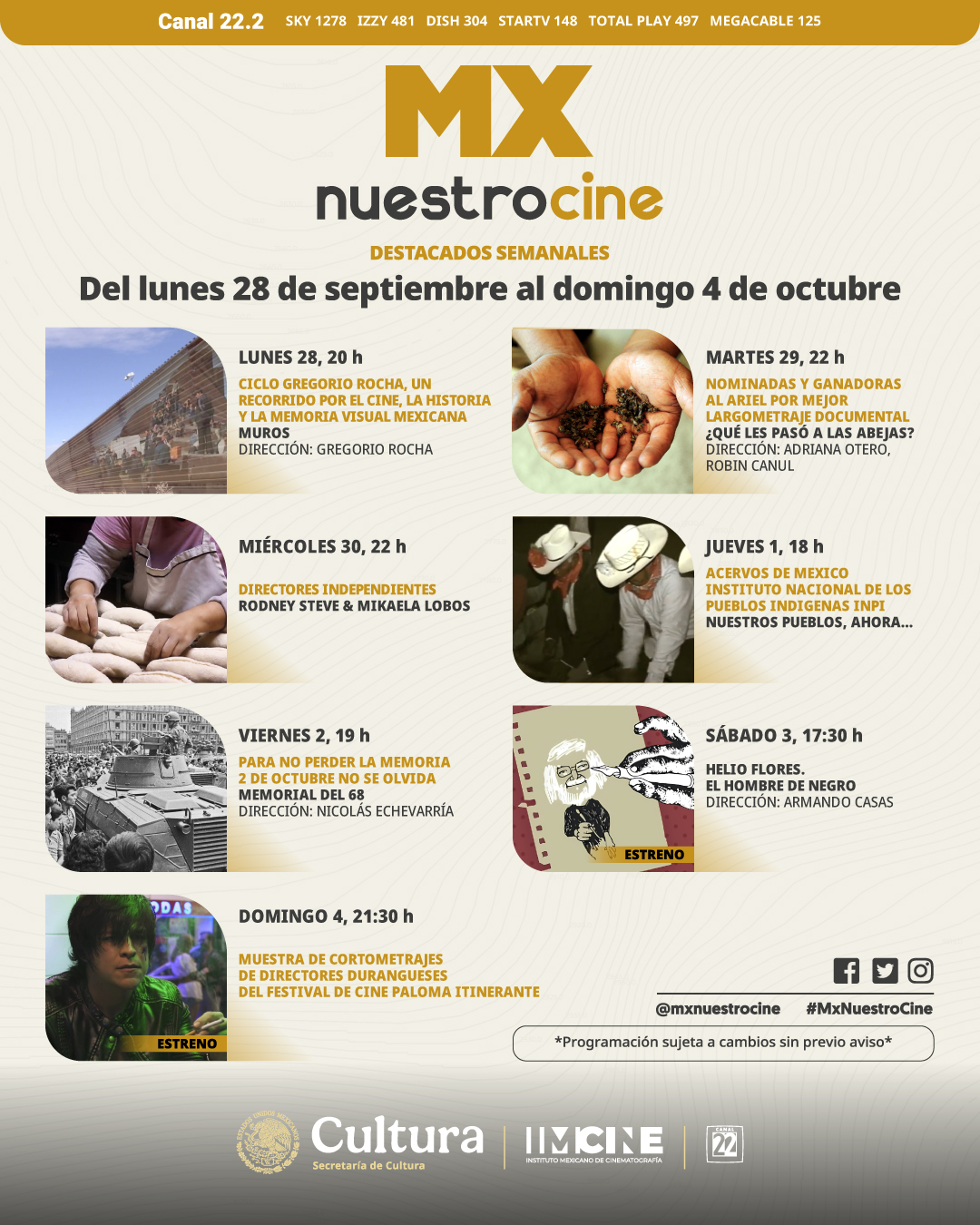 Imagen ampliada