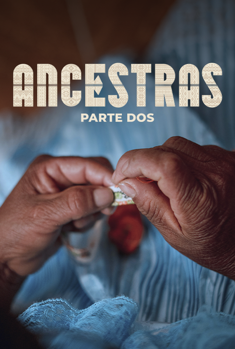 Descripción 2