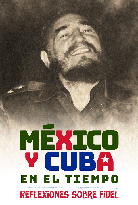 Descripción 2