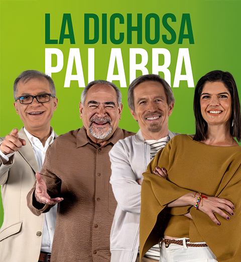 Descripción 2