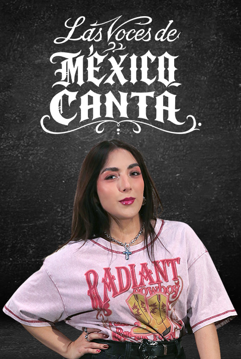 Descripción 2